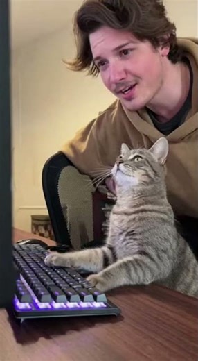 GTA 6 Beta Tester: The physics are too realistic 🎮😿 #cat #shorts