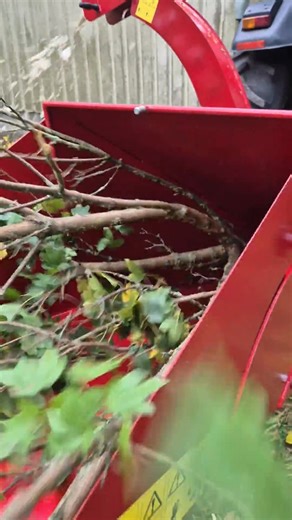 Wenn’s kernig wird im Wald – dann braucht man Technik, die mit mithält. 🌲💥 Unser Grobhäcksler mit Zapfwellenantrieb zeigt im Video, wie Äste und Holz unkompliziert zu groben Hackgut verarbeitet werden. Robust gebaut, zuverlässig im Einsatz – damit Sie nicht nur Holz machen, sondern Zeit und Arbeit sparen. #vielitz #forstwirtschaft #holzhäcksler #agrartechnik #traktor #maschinenpower #holzernte #waldarbeit #technikbegeistert | Vielitz GmbH