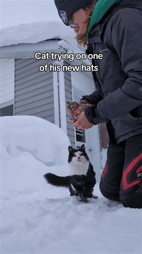 he was SO ready to get going hat is from @Crochet Customs | cat
