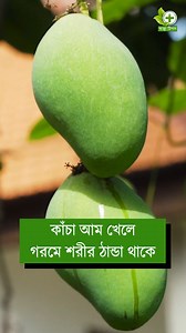 749K views · 11K reactions | কাঁচা আম খেলে কি হয় জেনে রাখুন #healthtips #tips #mango #reelsviral #viralreels | স্বাস্থ্য টিপস | Facebook