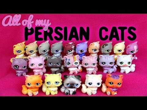 All of My LPS Persian Cats!