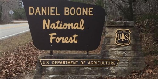 Will Trump’s executive orders impact Daniel Boone National Forest employees?