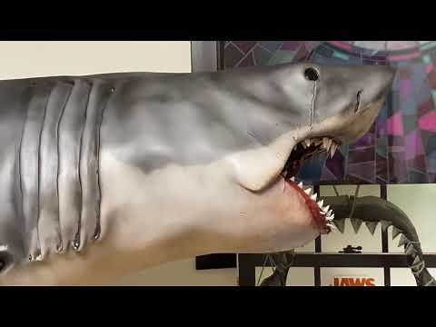 JAWS BRUCE- SHARK CITY OZARK
