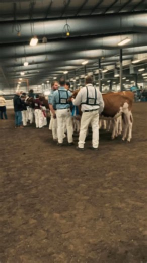See coverage from the Wisconsin Dairy Showcase at dairyagendatoday.com | Dairy Agenda Today