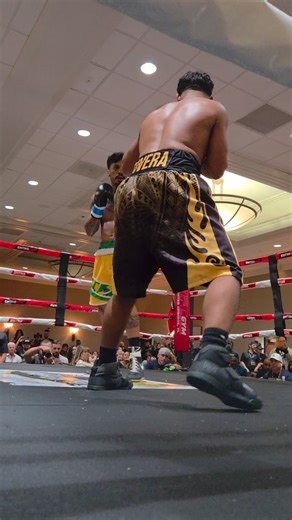And just like that it's over 🇵🇷 @_flysohigh23 Havoc at the Hilton #sports #boxing #pressrelease #boxingnews #SportsNews #boxeo #thebest #fyp #fypviralシ #supportlocal #dazn #wbaboxing #wba #PuertoRico | Even Hands