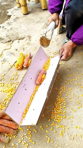 Smart & Simple Way to Shell Corn! #shorts
