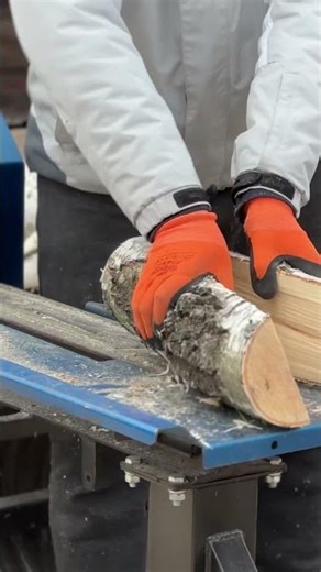 STIHL MS 881 World’s LARGEST Chainsaw #shorts #countrylife #homestead #woodworking #stihl #chainsaw