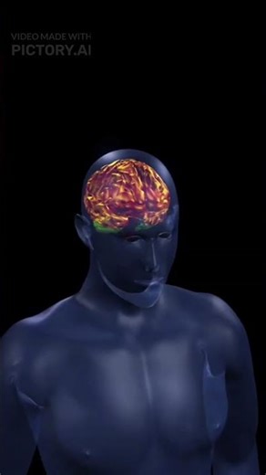 This Pill Erases Your Worst Memories Forever #Shorts #facts #viral #money