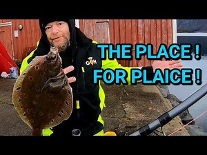 Plaice fishing in Arctic Norway !
