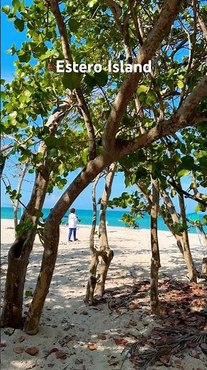 Fantastic Beach of Estero Island Florida