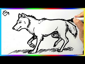 Comment dessiner un loup