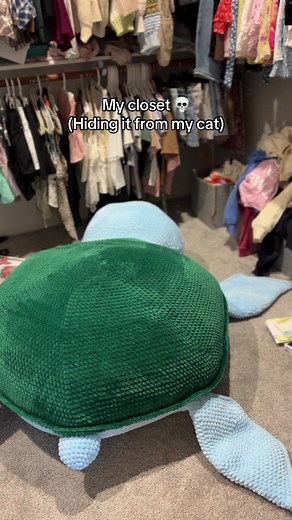 Creative Crochet: Hiding a Jumbo Turtle in Your Closet