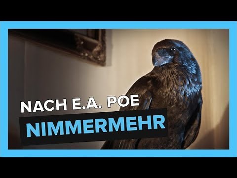 Nimmermehr - Kurzfilm 'der Rabe' nach Edgar Allan Poe