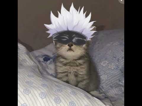 Adam_YTB's broadcast