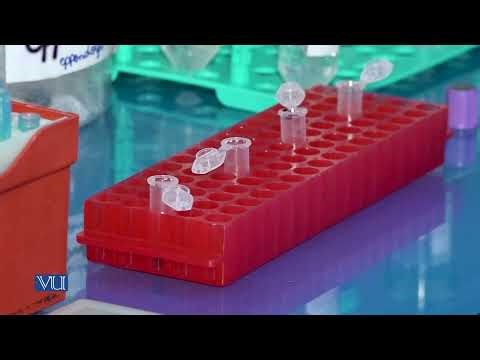 DNA Extraction Part-1 | Molecular Biology (Practical) | MB502P_Topic002