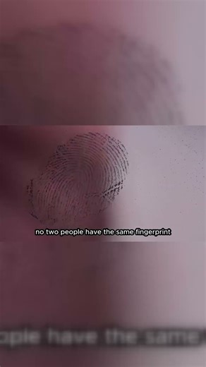 Why Do Humans Have Fingerprints? 👆🌀 Science Explained #Shorts