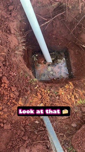 Yeast is for baking, not for septic tanks!