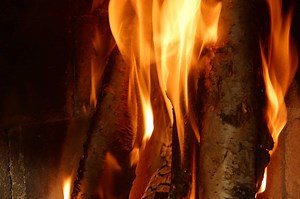 Does Burning Oleander Produce Poisonous Smoke?