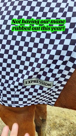 These lycra hoods from @Jeffers Expression are perfect for keeping your horse's mane laying down nicely and not rubbing out. Also lays thier winter coat down and makes them look clean and shiny! Check out all the fun patterns they come in! #horse #horseproducts #horseblanket #horsehood
