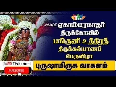 🔴LIVE அபிஷேகம் அருள்மிகு ஏகாம்பாநாதர் திருக்கோவில் பங்குனி உத்திர திருக்கல்யாணம்