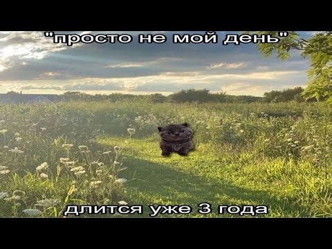 L4D2 Blood Harvest ER Solo Bcock Script in 7:40