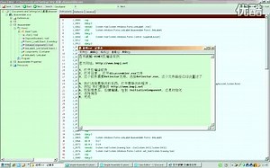 视频：VSNET反编译实例