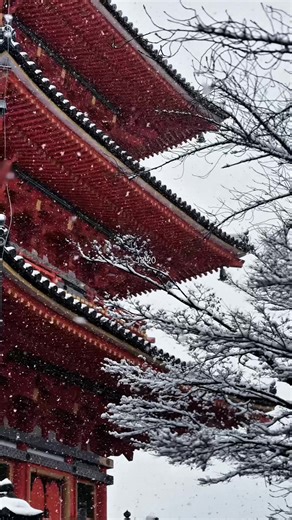 Snow Magic in Kyoto: A Winter Vlog Experience