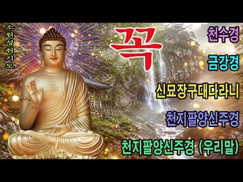 불경모음 - 온갖 모든 좋은 운이 들어오고, 만사형통하는 불경 🙏 반야심경,천수경,금강경,관세음보살정근,석가모니불정근,약사여래불정근,화엄경약찬게 - 영인스님