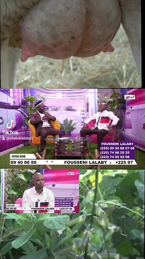 21K views · 427 reactions | Fousseini lalaby | cheick Lalaby | Facebook