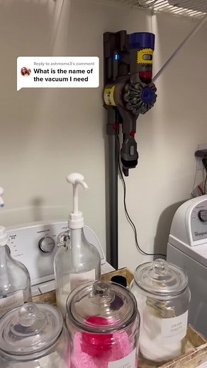 Dyson Cordless Vacuum V8 Animal Review and Demo