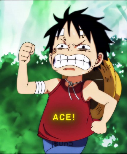 Ace and Luffy's Emotional Moment in One Piece