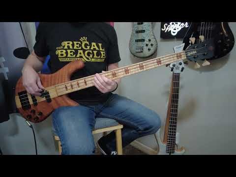 Spector 2024 USA NS-2 Bass Cover - Stone in Love