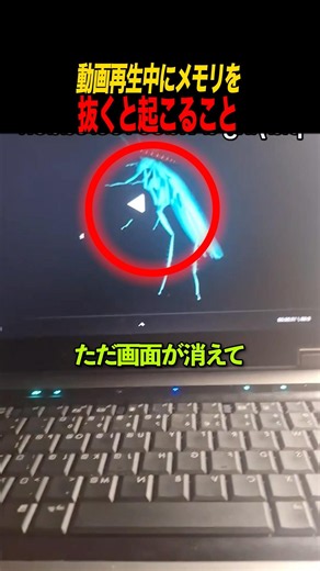 動画再生中にメモリを抜くと起こること