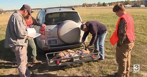 Montana FWP reports on hunter success halfway through hunting season