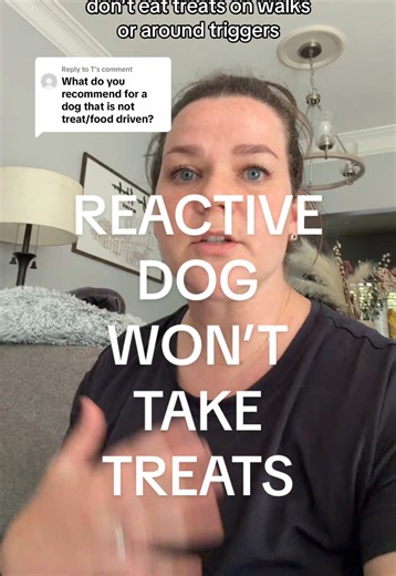 Reactive Dog Won't Take Treats? Try These Steps!