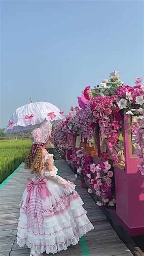 Princess Dress and Lolita Fashion Outfits Showcase