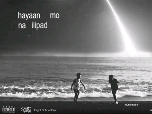 965K views · 42K reactions | co pilot | 홈홪홨홞환홢홤홤홙. | Facebook