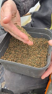 38K views · 417 reactions | INCREASED ATTRACTION! Here’s how you can MAXIMISE your bait, pulling more fish into your swim and getting YOU more bites  | Fish Matrix | Facebook