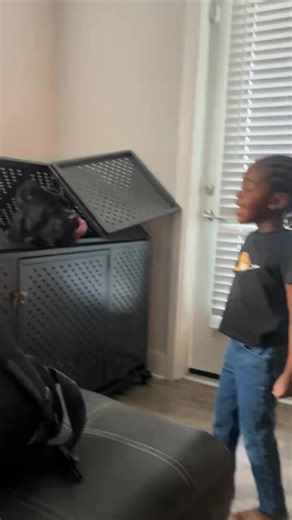 149K views · 1.3K reactions | Best companion 殺殺 Follow Marcus Cane Corso Puppies For Adoption to see more photos, updates, and helpful care tips! ❤️ #canecorso #corso #puppy #puppies #puppylove #dog #doglover #dogs #dogstagram #rottweiler #dobermann #presacanario #gsd #mastiff #mastiffpuppy #italianmastiff #bodybuilding #fitness #motivation #fitnesmotivation #americanbully #training #canecorsoofinstagram #canecorsolove #canecorsofans | Marcus Cane Corso Puppies For Adoption | Facebook