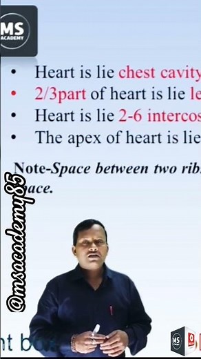 Cardio vascular system (CVS). Position of Heart💕