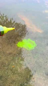 Mastering Fishing Styles – Top Techniques for Every Angler!