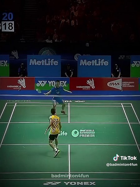 Lee Chong Wei vs Chen Long Final: All England 2014
