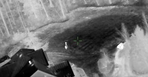 'Llama drama!' Stray llama spotted running on Virginia parkway leads officers on chase