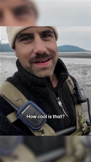 Alaska Bears Hunting for Clams