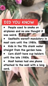 61K views · 750 reactions | ✈️ Retro Travel Facts #travelhistory #funfacts #didyouknow | Riddle & Puzzle | Facebook
