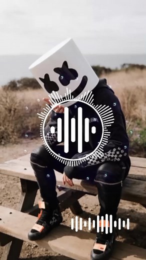 Top 10 Electronic Music Tracks by DJ Alan Walker