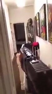 3.6K views · 28 reactions | Hhahahahaha OMG | Extreme Fights | Facebook