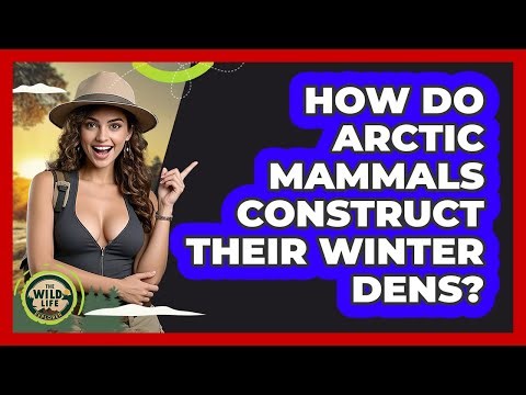 How Do Arctic Mammals Construct Their Winter Dens?