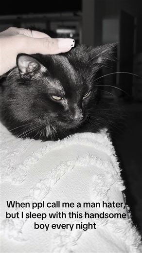 Zekrom hex 🖤🤍🩶