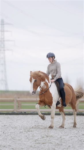 65K views · 1.1K reactions | What do you think…. Will Mella’s foal be...